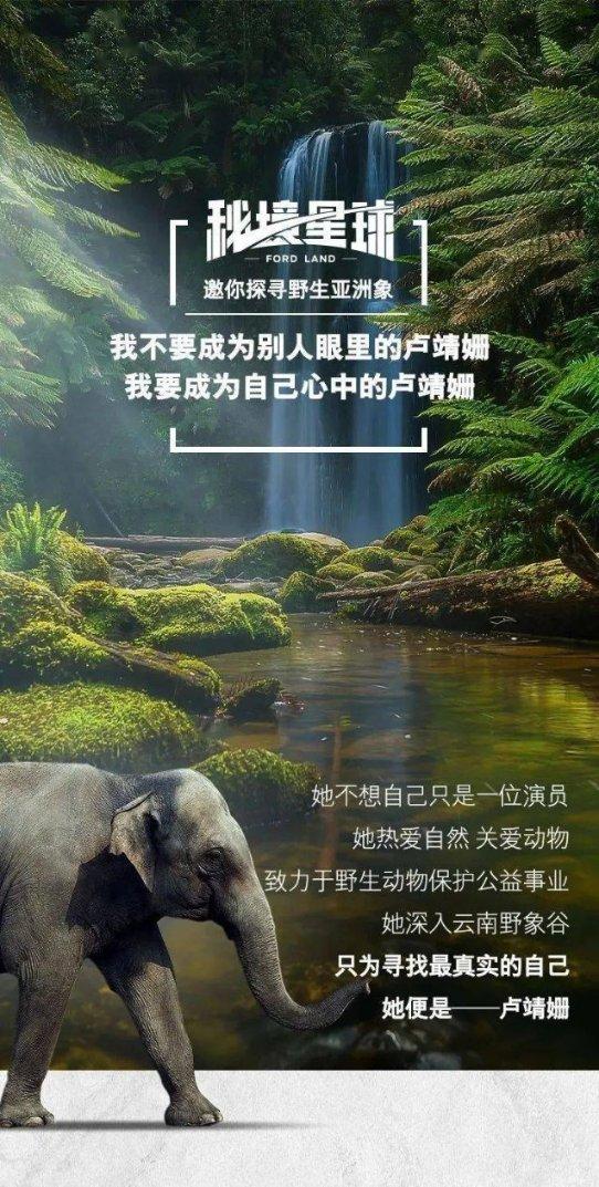 2048进阶版