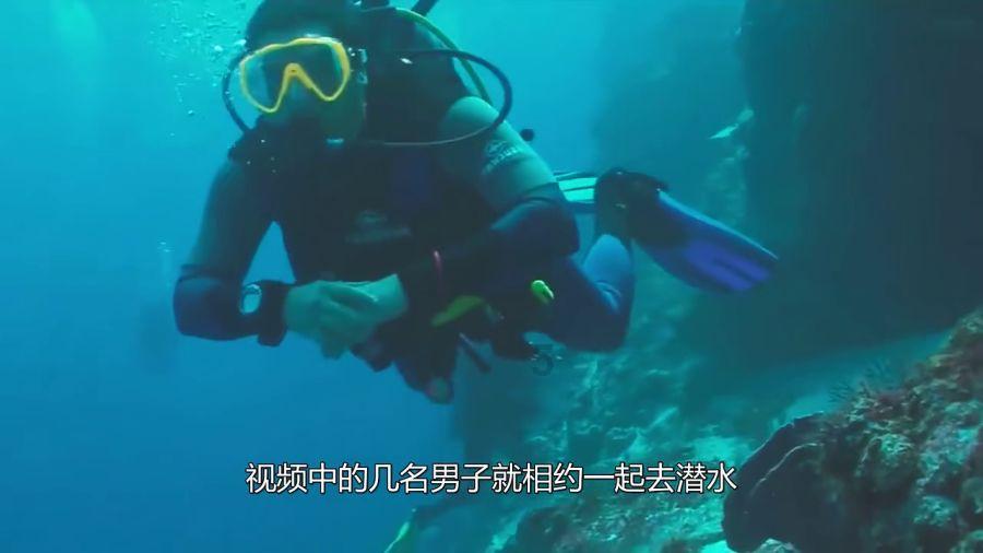 全民剧本大师内置菜单