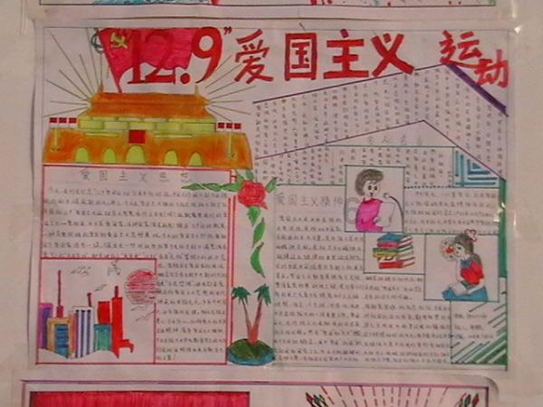 猫的寿命一般多长游戏画面